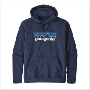 Patagonia hoodie